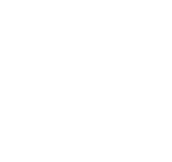 watermark
